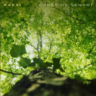 Forêt de Senart by Raf21