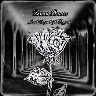 Dead Roses by MalSejuk