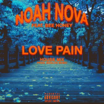 LOVE PAIN (Remix) by Noah Nova