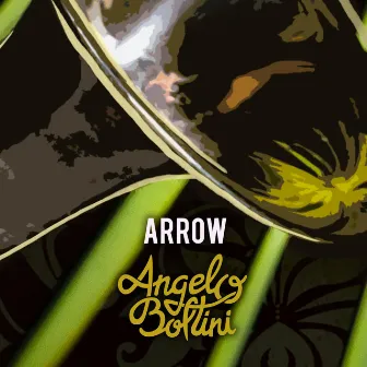 Arrow by Angelo Boltini