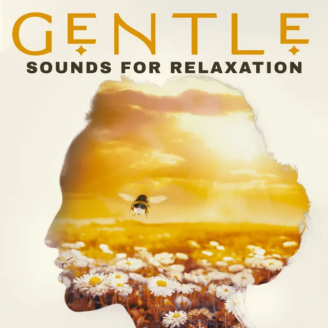 Gentle Sounds for Relaxation: Turn Off Your Mind for a Moment with Soothing New Age Tones