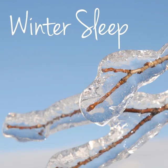 Winter Sleep - Nature Sounds Music for Deep Sleep & Meditation