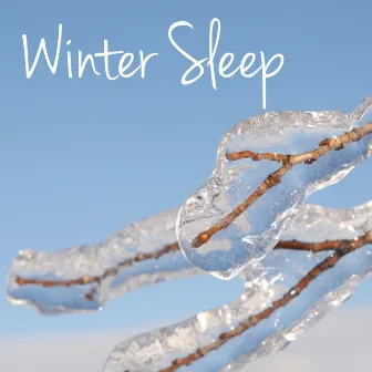 Winter Sleep - Nature Sounds Music for Deep Sleep & Meditation by Celtic Meditation Music Specialists