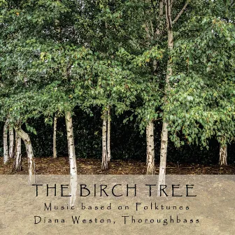 The Birch Tree by 