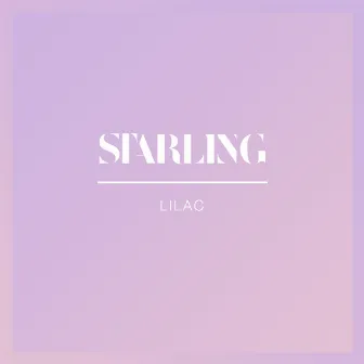 Lilac by Starling