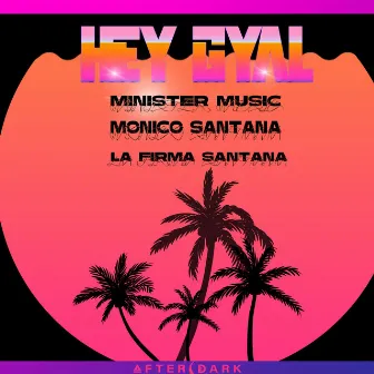 Hey Gyal by Minister Music