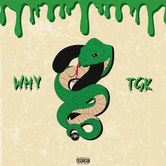 Why by TGK