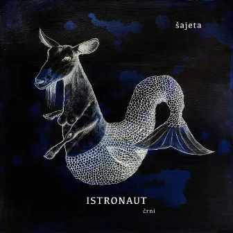 Istronaut Črni by Sajeta