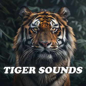 Tiger Sounds by Tiger Sounds