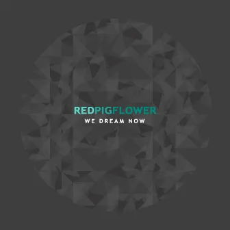 We Dream Now by Red Pig Flower