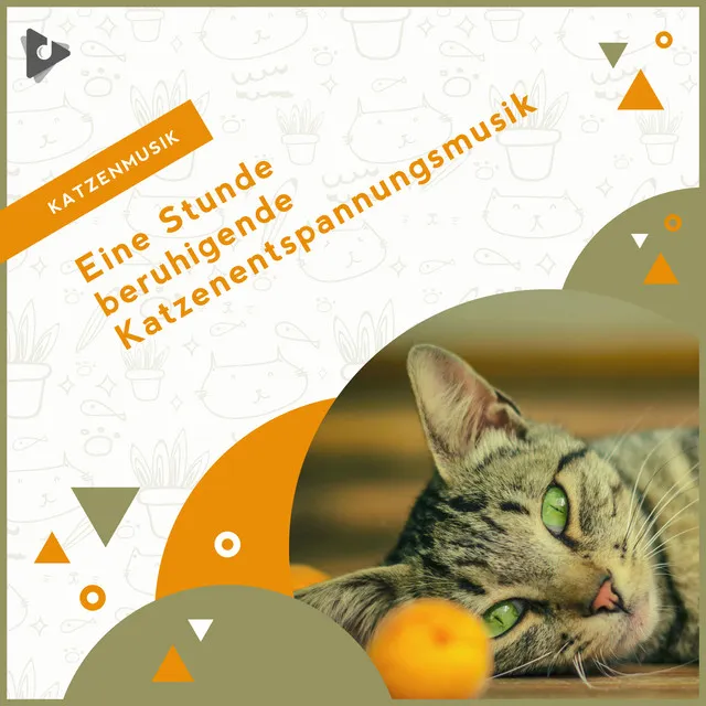 Eine Stunde beruhigende Katzenentspannungsmusik