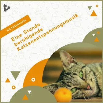 Eine Stunde beruhigende Katzenentspannungsmusik by Beruhigende Kätzchenmusik