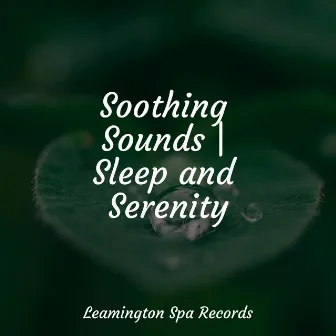 Soothing Sounds | Sleep and Serenity by Regen zum Schlafen