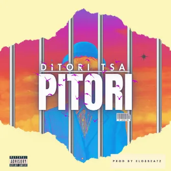 Ditori tsa Pitori by Elo8Beatz