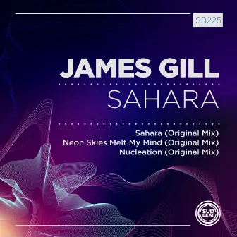 Sahara by James Gill