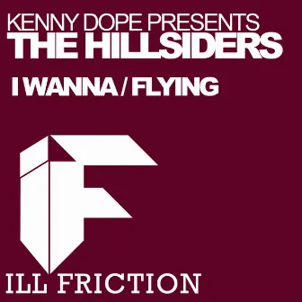 I Wanna / Flying by The Hillsiders