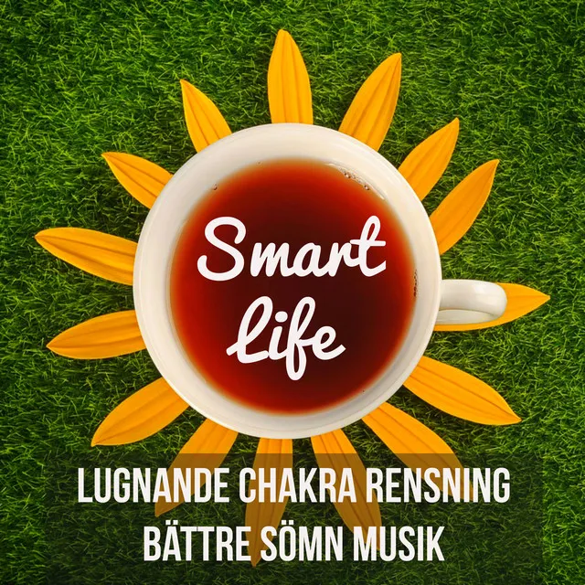 Smart Life - Lugnande Chakra Rensning Bättre Sömn Musik för Yoga Healing Terapi Buddistisk Meditation och Djupandning