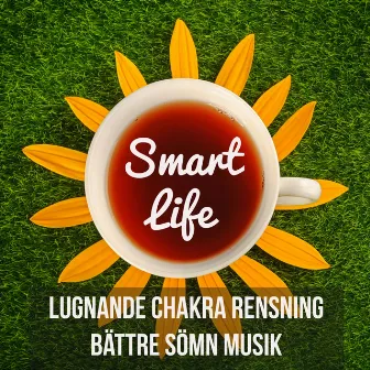 Smart Life - Lugnande Chakra Rensning Bättre Sömn Musik för Yoga Healing Terapi Buddistisk Meditation och Djupandning by Lugna Resten