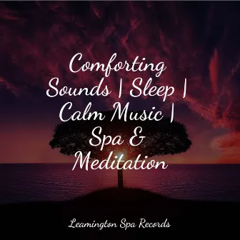 Comforting Sounds | Sleep | Calm Music | Spa & Meditation by Ambient Music Therapy