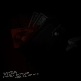 Visa by ilycloudd