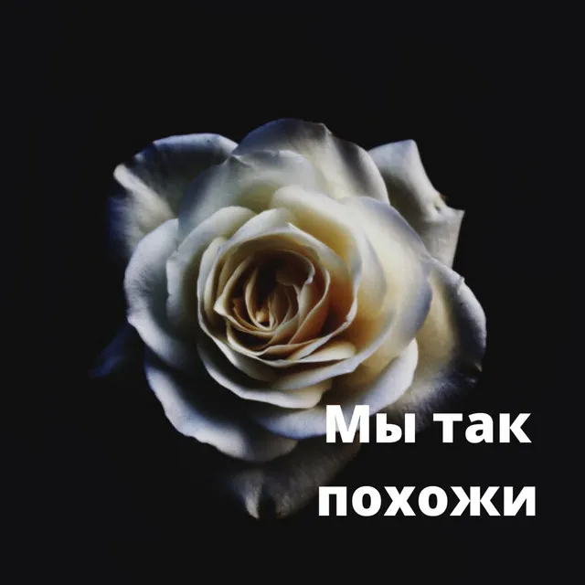 Мы так с тобой похожи