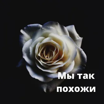 Мы так похожи by 