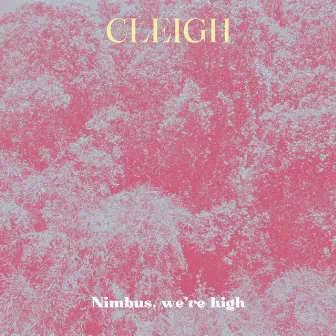 Nimbus, We're High by CLEIGH