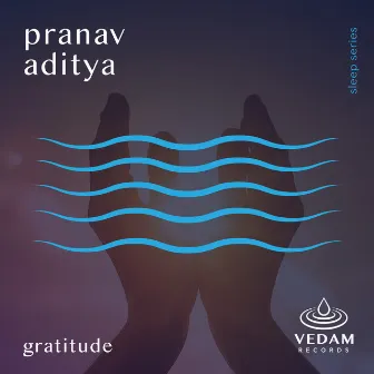 Gratitude by Vedam