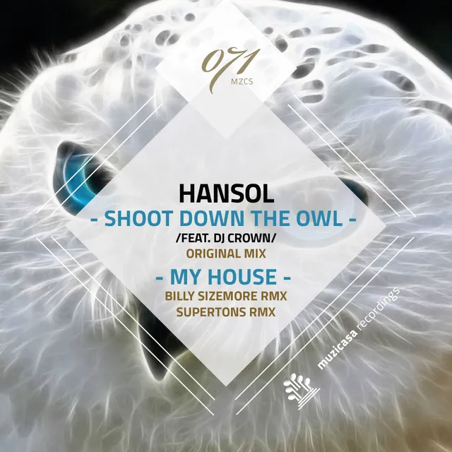 Shoot Down The Owl - Original Mix