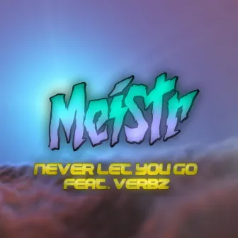 Never Let You Go by Meistr