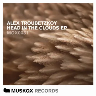 Head In The Clouds EP by Alex Troubetzkoy