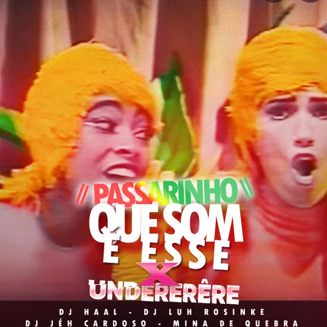 PASSARINHO QUE SOM É ESSE X UNDERÊRE