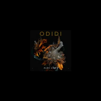 Odidi by Alex Ugwu