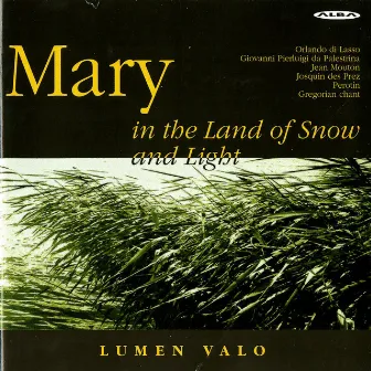 Mary in the Land of Snow and Light by Lumen Valo