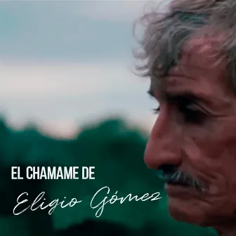 El Chamame de Eligio Gómez by Maxi Bravo Arde Chamame