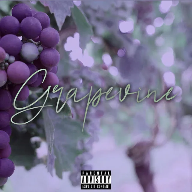 Grapevine