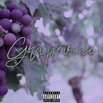 Grapevine by Yoza