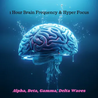 1 Hour Brain Frequency & Hyper Focus (Alpha, Beta, Gamma, Delta Waves) by Solfeggio Frequencies Tones