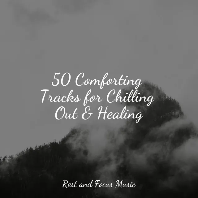 50 Comforting Tracks for Chilling Out & Healing