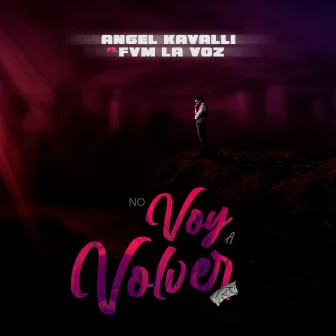 No voy a volver by ANGEL KAVALLI