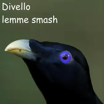 Lemme Smash by Divello