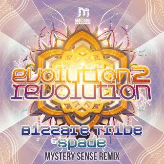 Evolution 2 Revolution (Mystery Sense Remix) by Mystery Sense