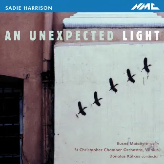 Sadie Harrison: An Unexpected Light by Rusne Mataityte