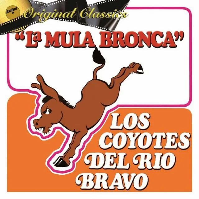 La Mula Bronca