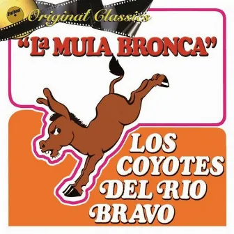 La Mula Bronca by Los Coyotes del Rio Bravo