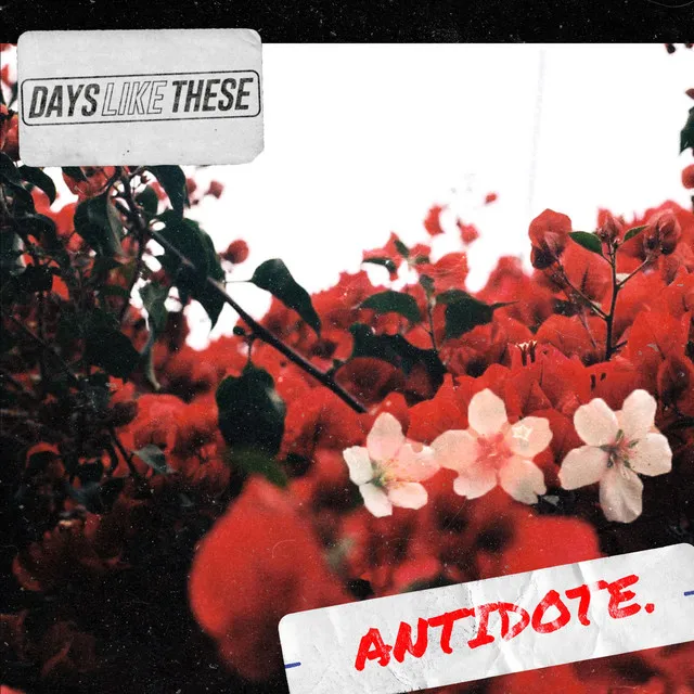 Antidote