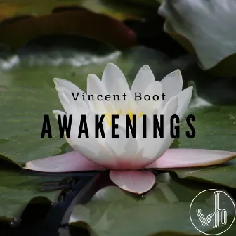 Awakenings by Vincent Boot