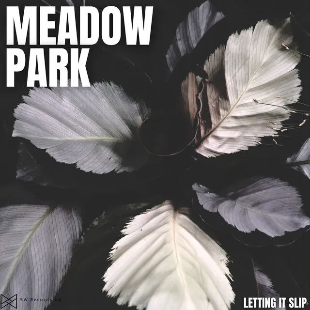 Meadow Park