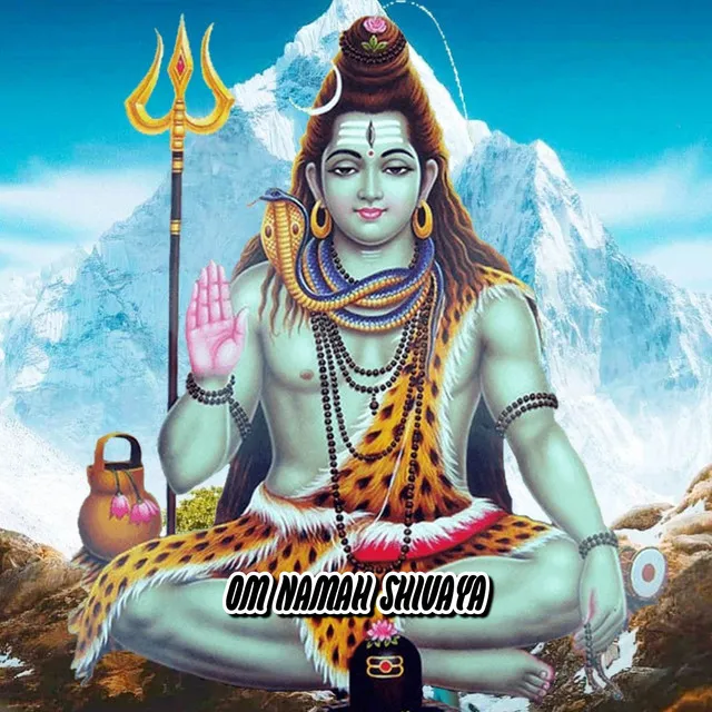 OM NAMAH SHIVAYA