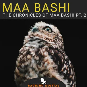 The Chronicles Of Maa Bashi, Pt. 2 by Maa Bashi